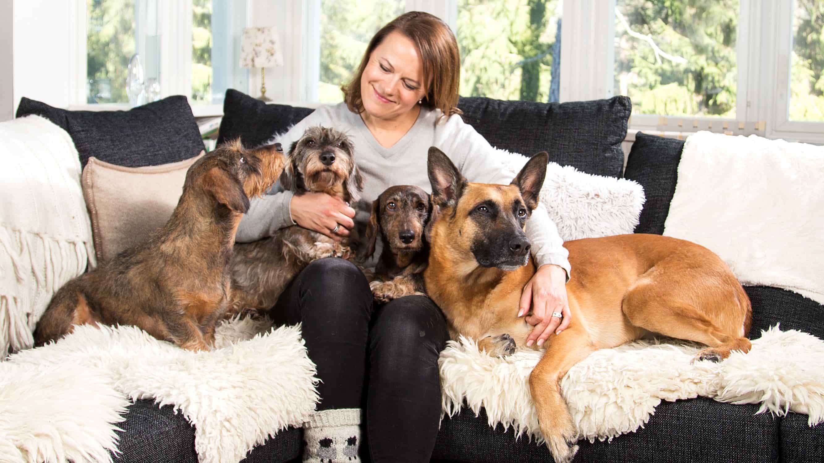 Producing highquality local food for pets is Dagsmark Petfood’s ecoaction